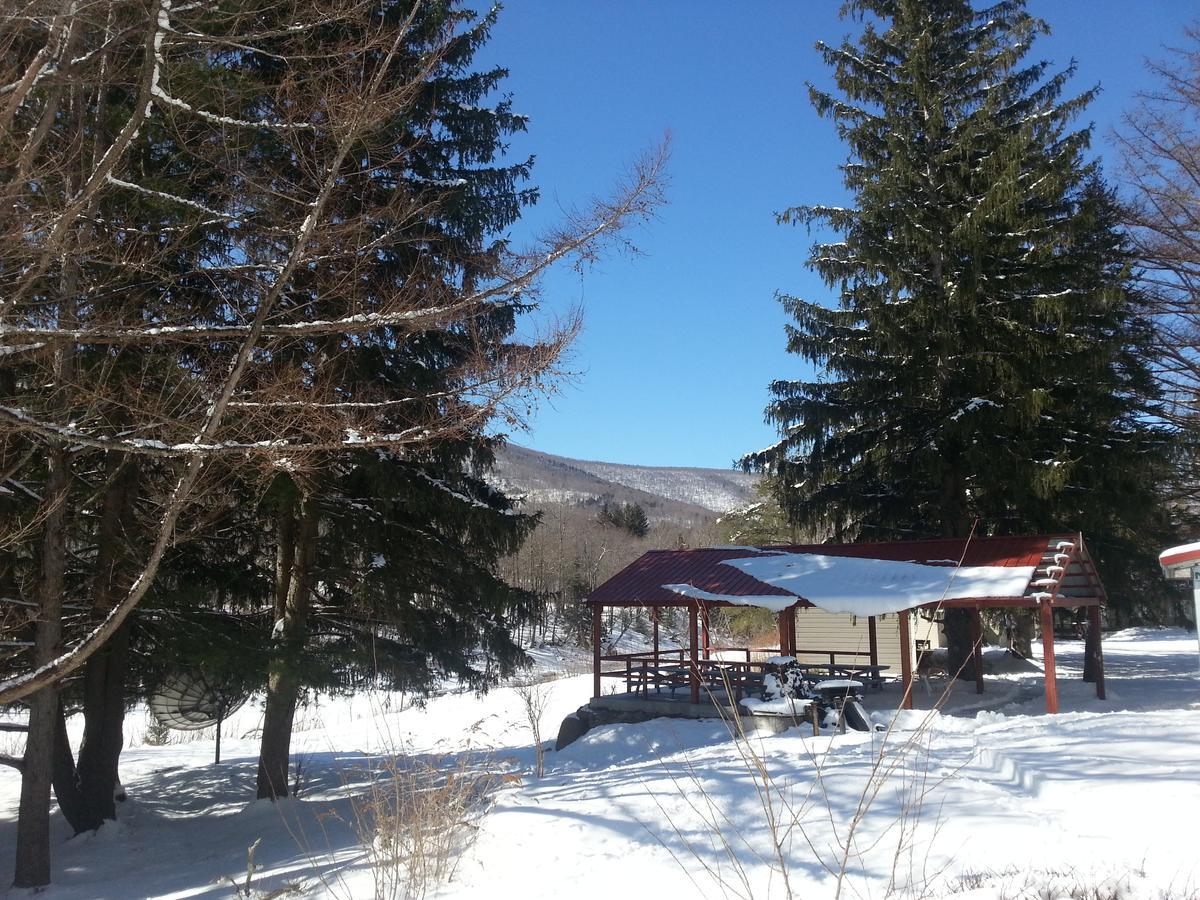 Hunter View Lodging Bagian luar foto